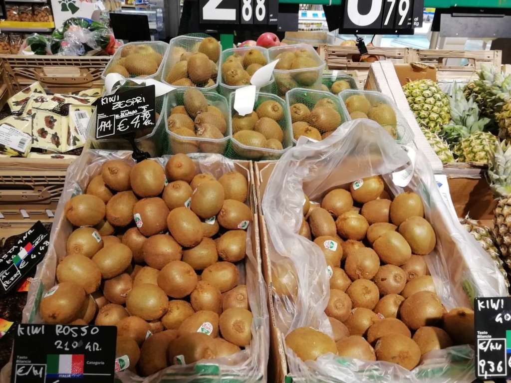 Continua regolare la campagna del kiwi italiano