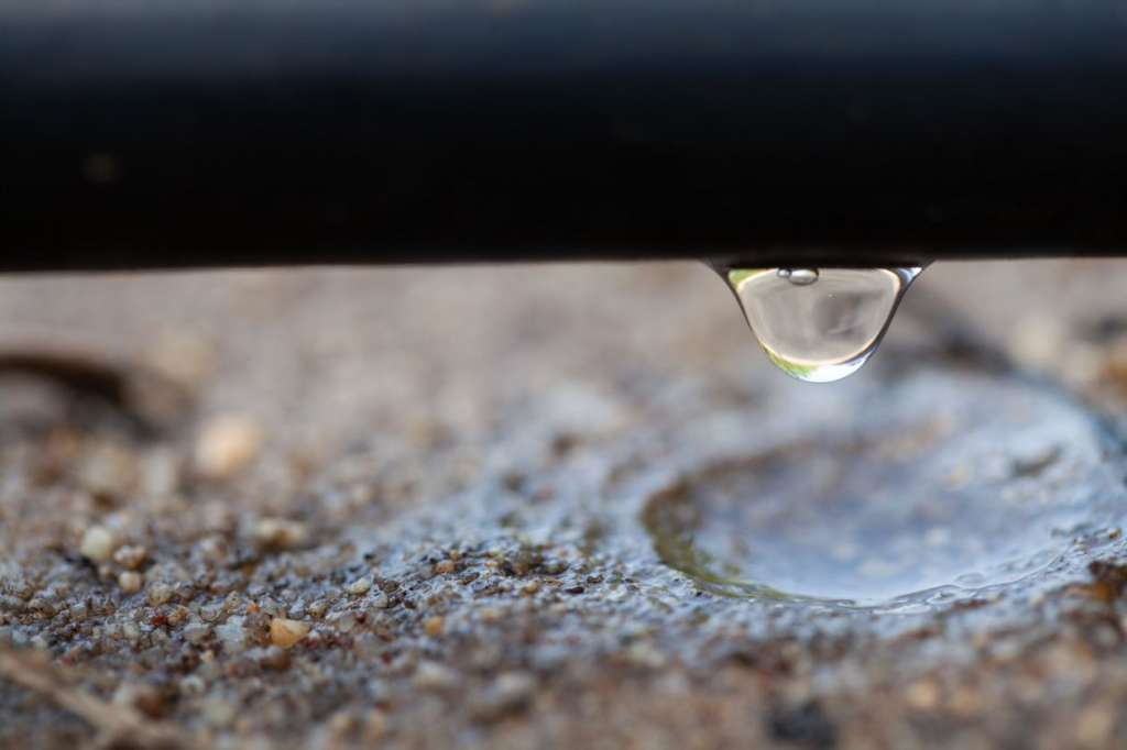 Irritec è tra i vincitori di Agrifuture, il contest sulle buone pratiche di innovazione orientate alla sostenibilità