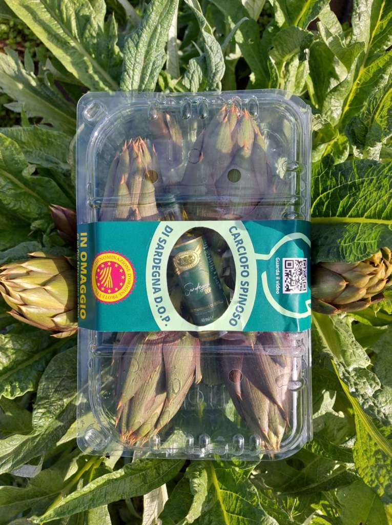 Carciofo Spinoso Sardo Dop e Olio Dop San Giuliano
