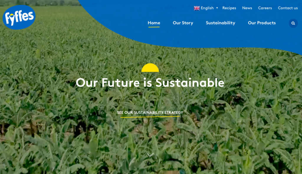 Screenshot del nuovo sito web di Fyffes