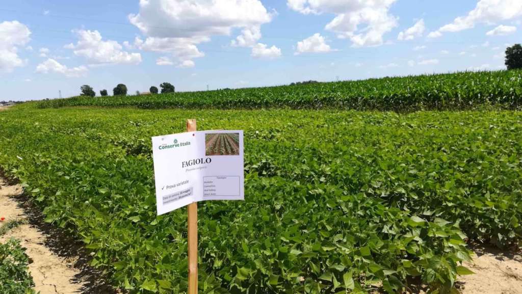 Conserve Italia investe nell'agricoltura di precisione