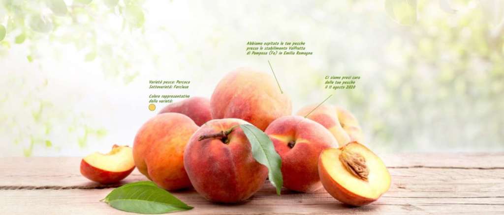 Valfrutta valorizza i soci agricoltori attraverso il racconto di filiera grazie al Qr Code