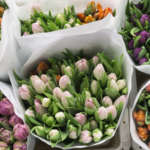 Previsioni di vendite di fiori molto positive per San Valentino