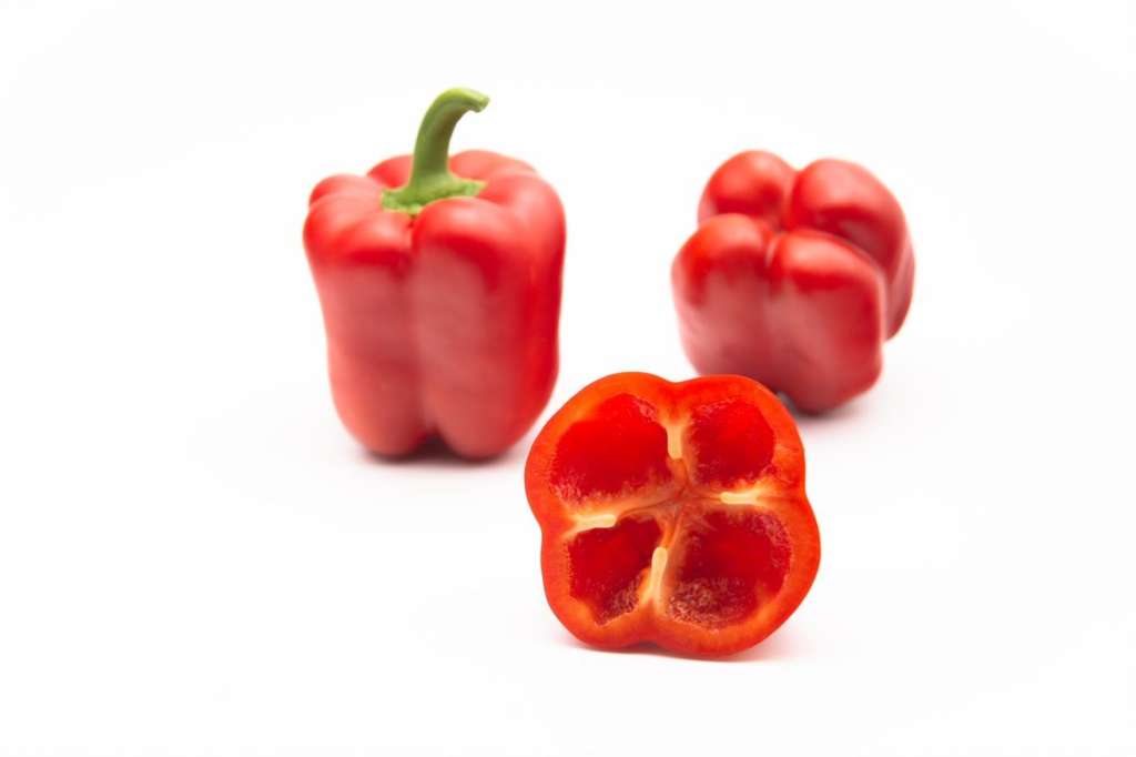 Il peperone Galiano di Top Seeds Internaltional