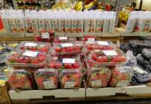 Forte la domanda di fragole, con quotazioni in rialzo