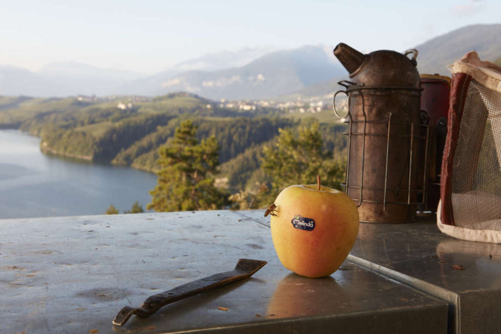 Lo spot Melinda punta sulla sostenibilità