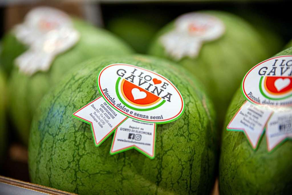 Anguria Gavina seedless Orto di Eleonora