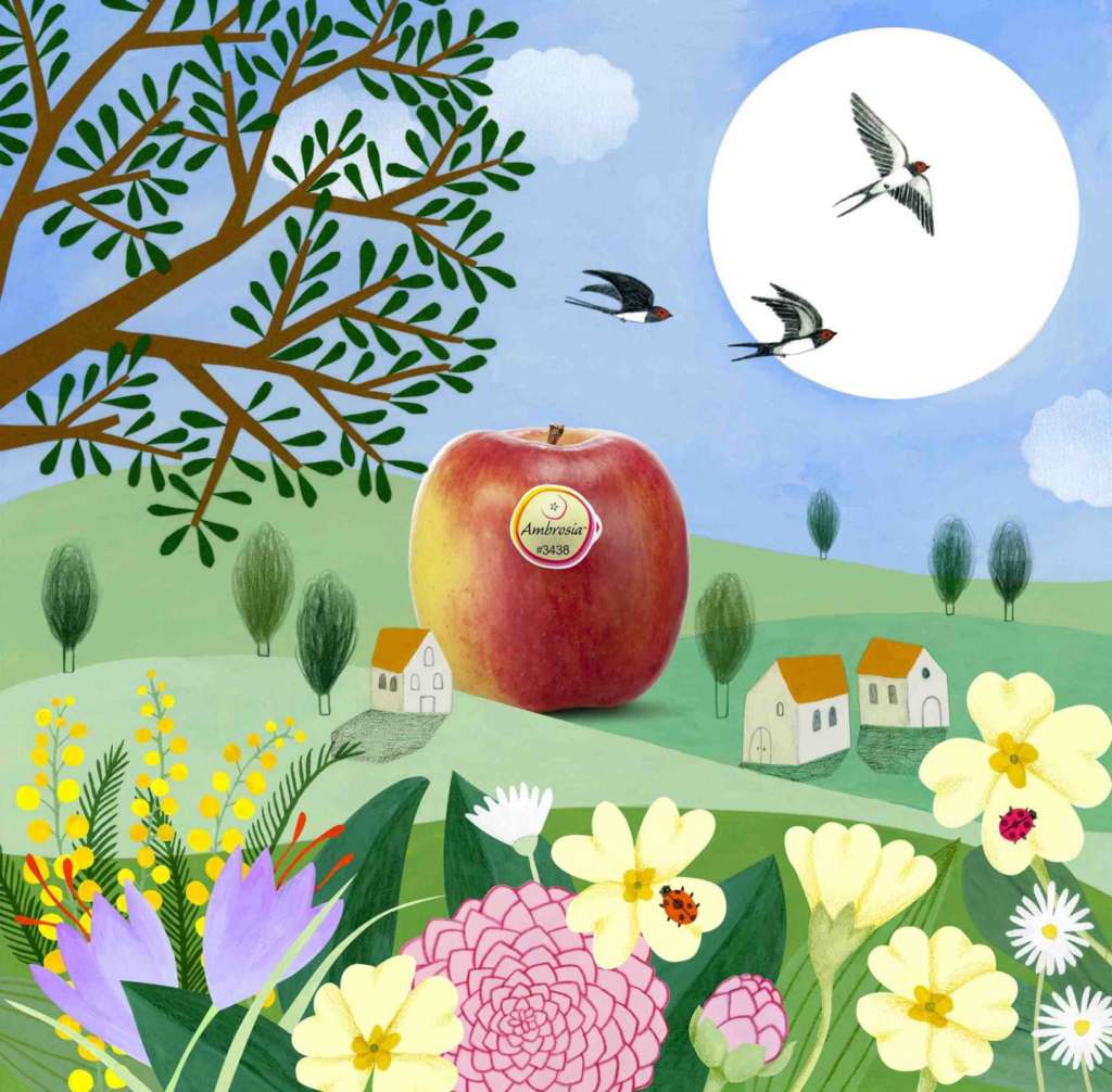 La nuova comunicazione di mela Ambrosia punta anche sui social