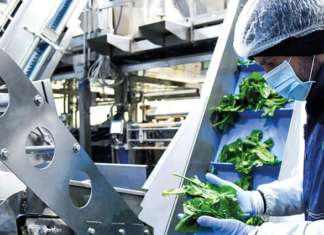 Ortomad impiega 350 lavoratori