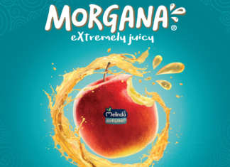 Morgana si caratterizza per la polpa succosa e lunga shelf-life