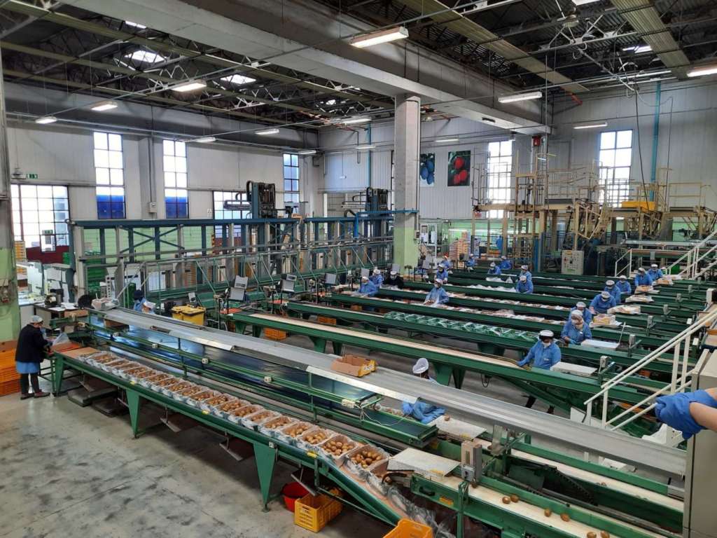 Uno degli stabilimenti Apofruit