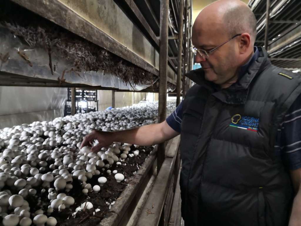 Paolo Rinaldi, presidente di Modena Funghi