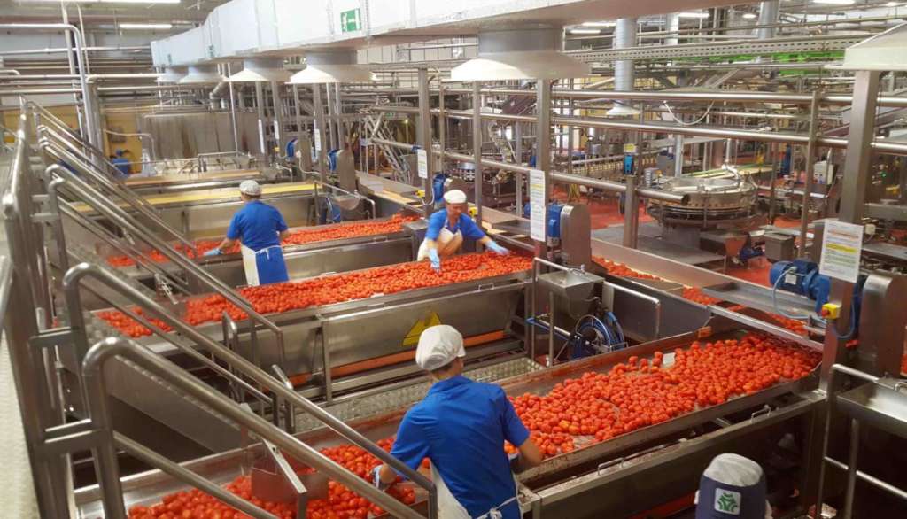 Impianto di trasformazione pomodoro Albinia