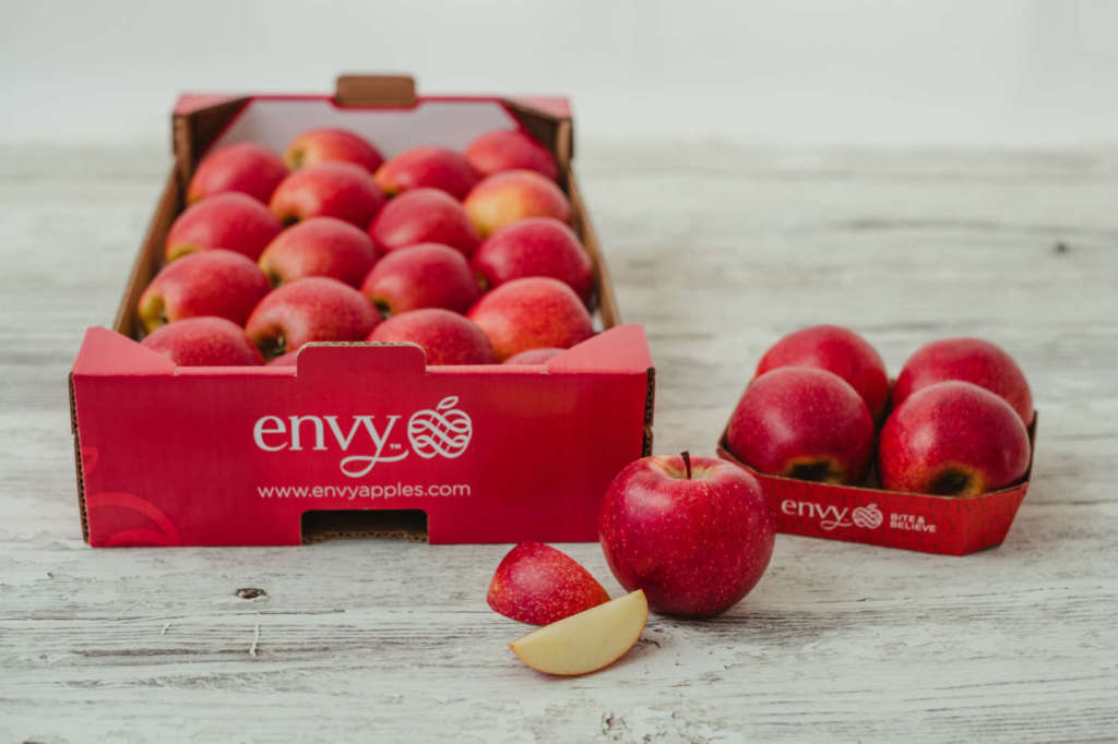 envy, la mela club supersweet commercializzata da Vog e Vip