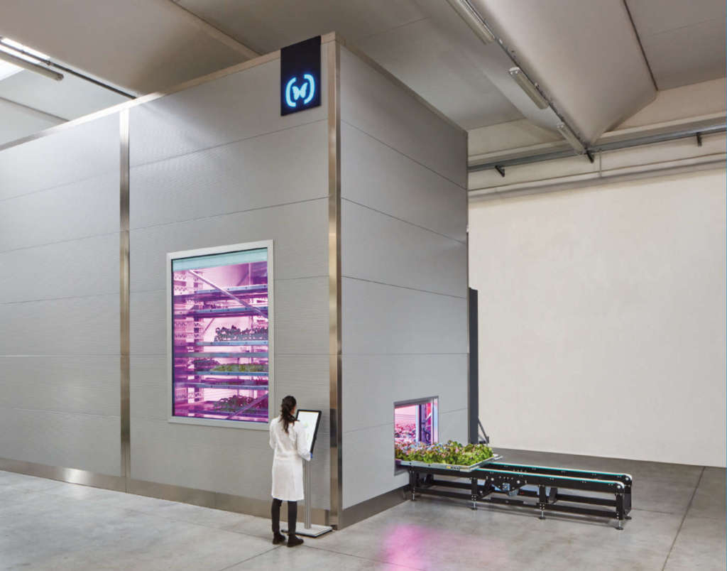 Ono Exponential Farming, la soluzione indoor con la tecnologia idroponica arriva fino a 16 metri in altezza