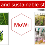 Mowi, ZanzaRaft e Evo-Hand premiati da UniMi Innova