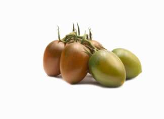 Tomachoc, il pomodoro dal gusto umami che piace ai giovani La linea di pomodoro Tomachoc è fortemente distintiva