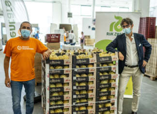 2.000 meloni di Rijk Zwaan Italia e Agricola Don Camillo donati a Banco Alimentare