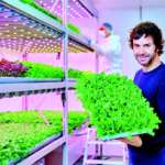 Ricette di luce per l’agricoltura verticale