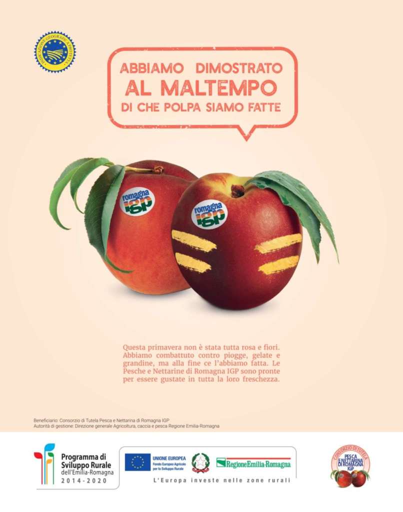 Visual della campagna di promozione Pesche e Nettarine Igp