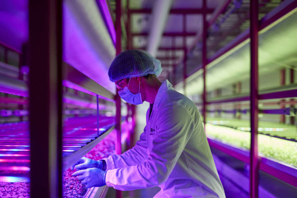 Impianto Zero di vertical farming a Pordenone