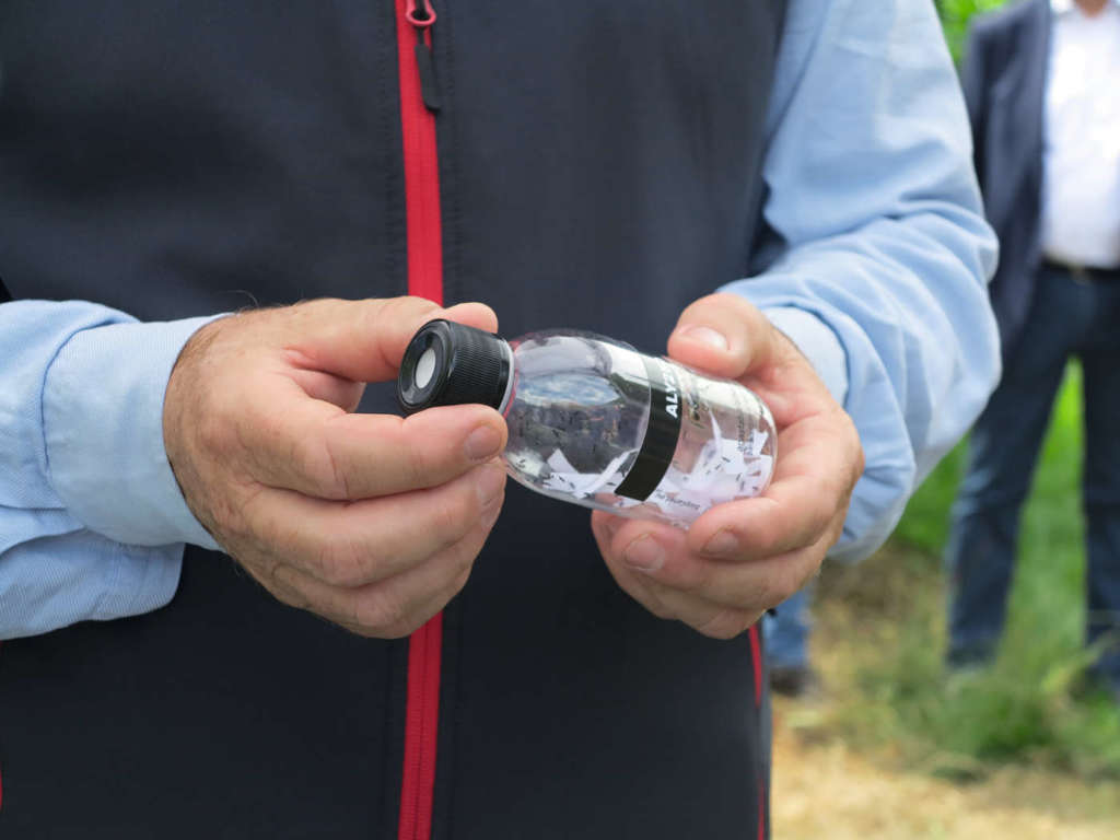 La cimice asiatica è un patogeno che provoca gravi danni alla frutticoltura