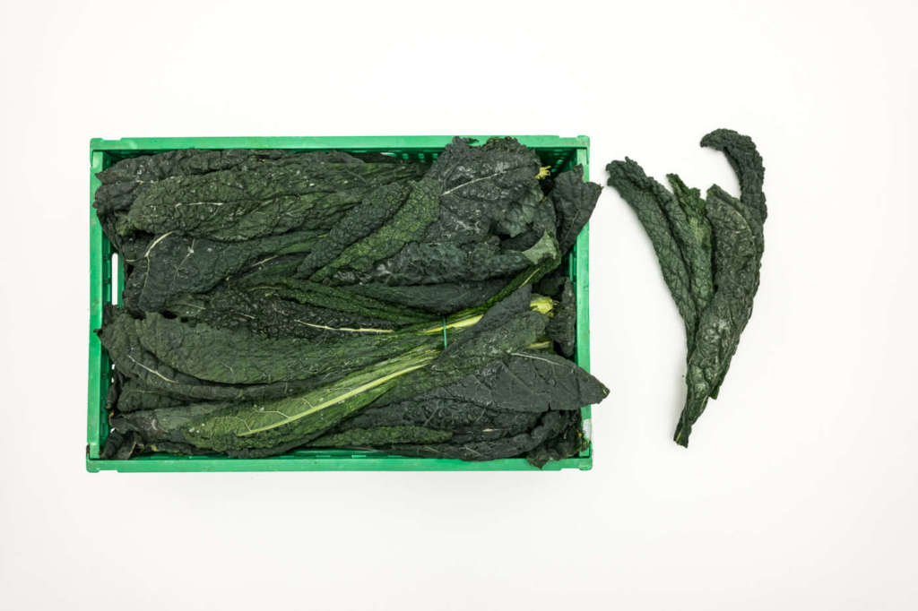 Cavolo nero di Romagna Sipo