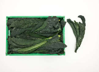 Cavolo nero di Romagna Sipo