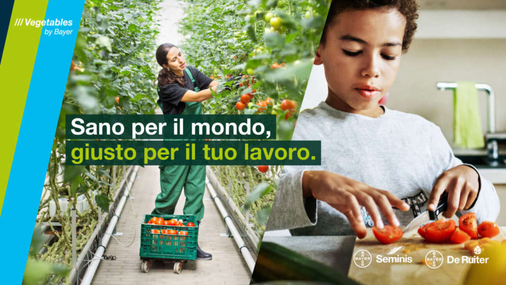Bayer punta su innovazione e sostenibilità con i marchi de Ruiter e Seminis