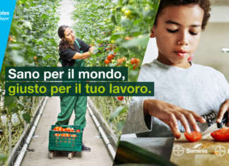 Vegetables by Bayer, la nuova piattaforma che punta sull’innovazione Bayer punta su innovazione e sostenibilità con i marchi de Ruiter e Seminis
