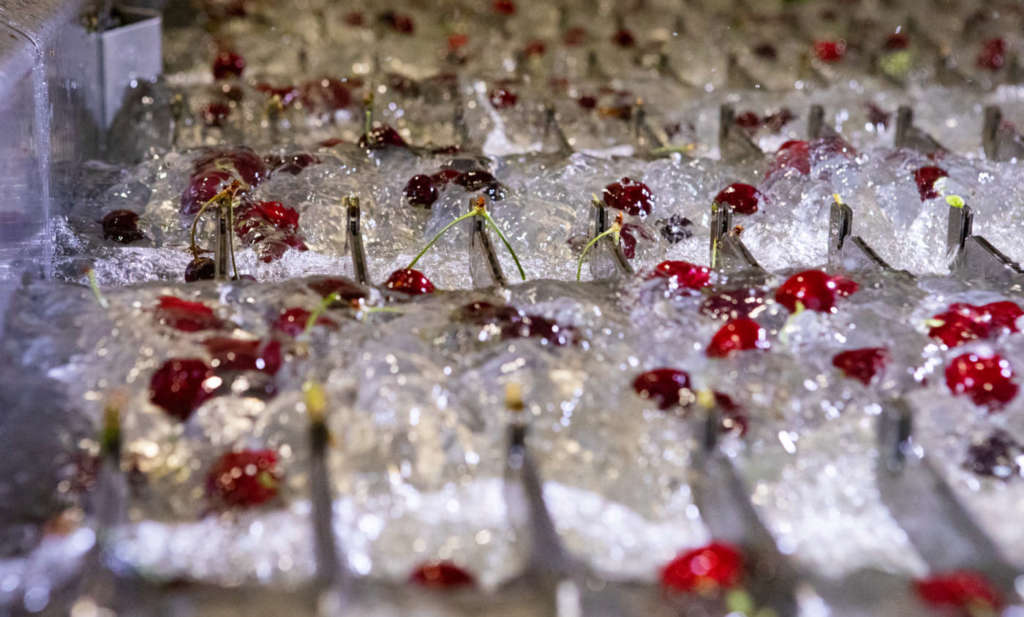 La tecnologia rivoluzionaria di Cascade Singulator di Tomra