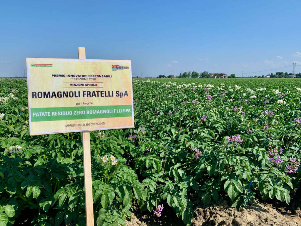 Patate Romagnoli sostenibili, residuo zero