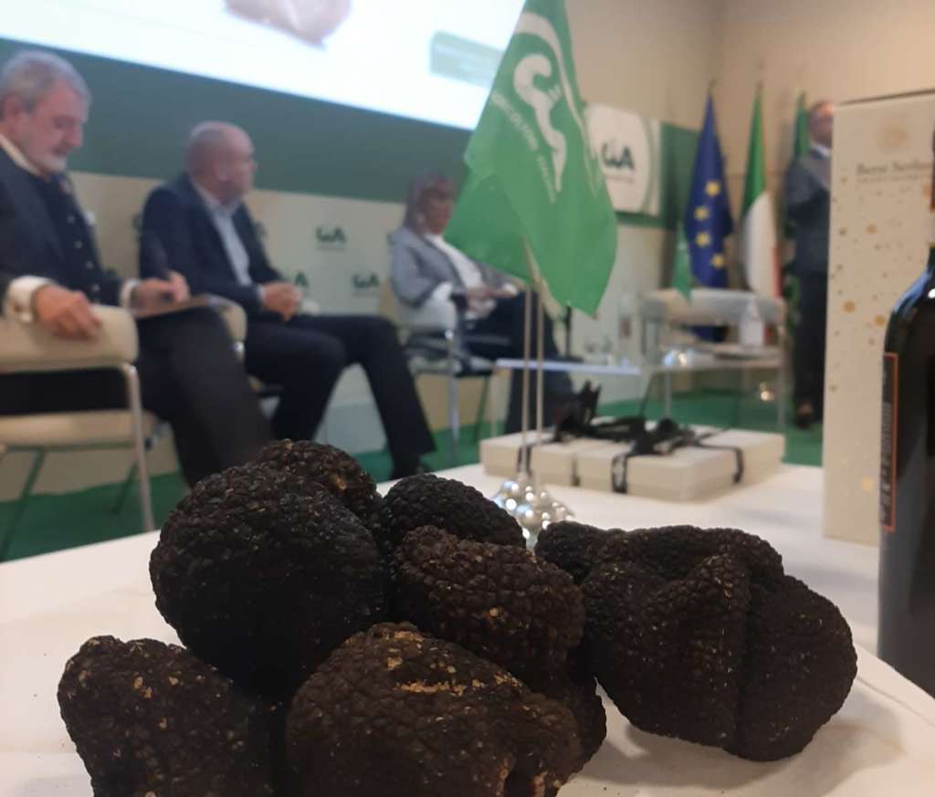 L’Anteprima mondiale della stagione del tartufo bianco 2021 si è svolta a Roma, con Cia-Agricoltori Italiani, l’Accademia del tartufo nel mondo e con la partecipazione del sottosegretario Mipaaf, Gianmarco Centinaio