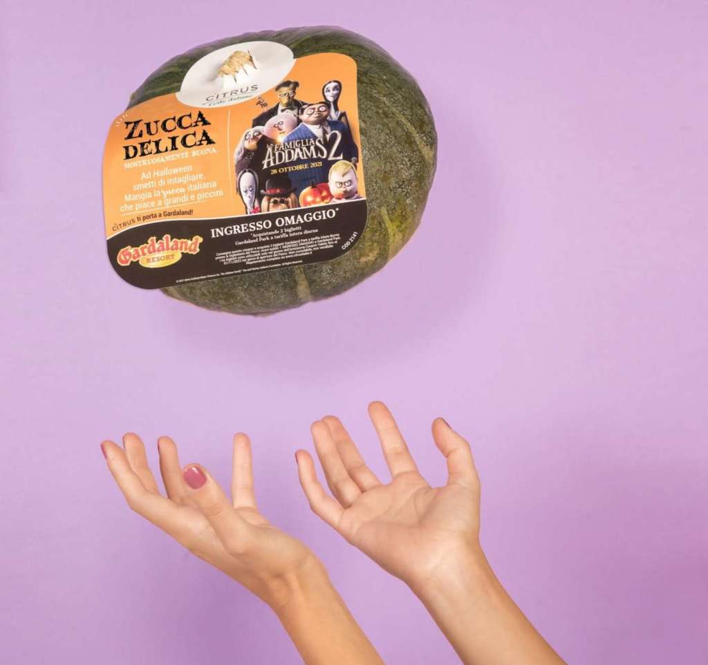 La zucca Citrus è distribuita nei migliori supermercati italiani