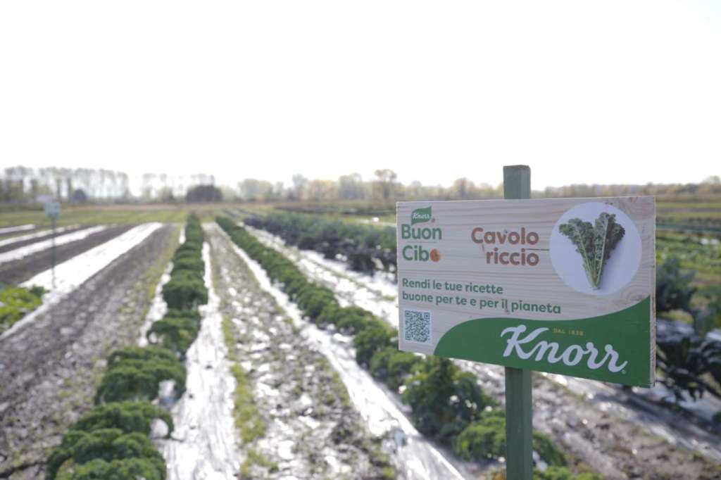 Orto del Futuro Knorr-Unilever