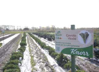 Orto del Futuro Knorr-Unilever