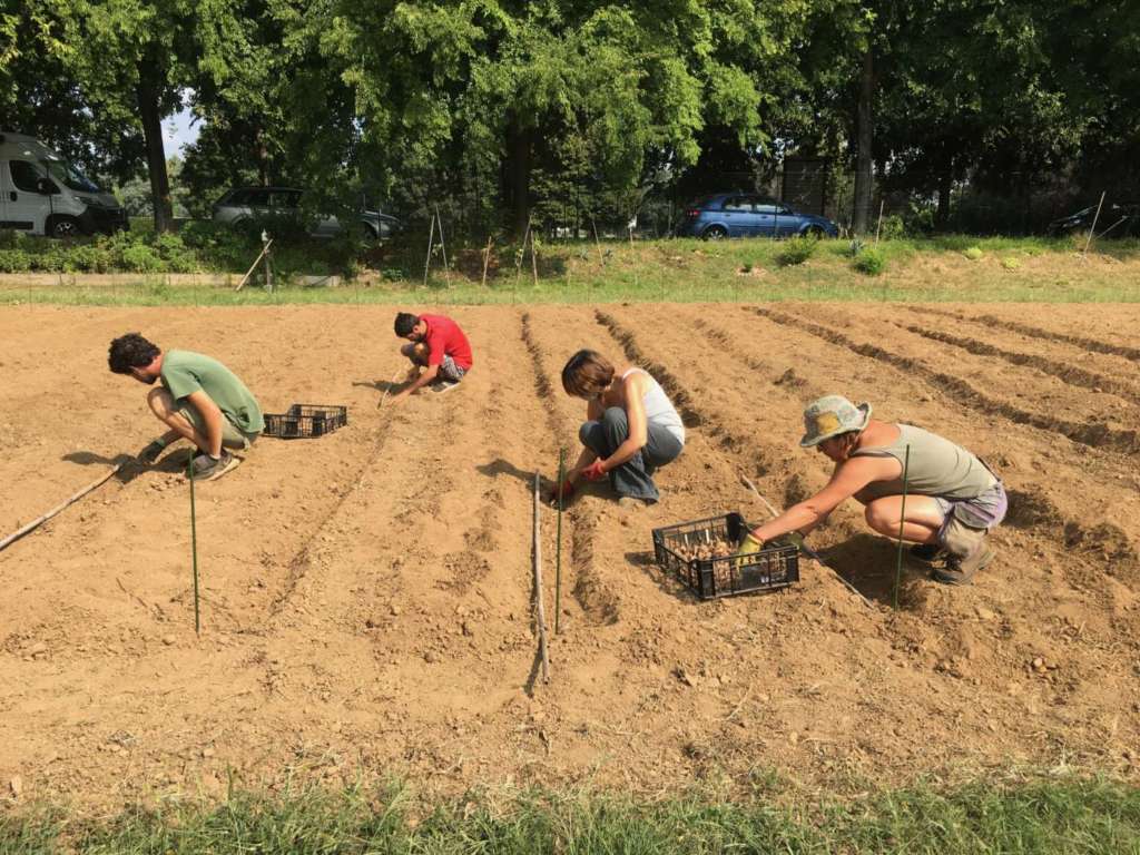 Il progetto Gerla 2.0 parte dai prodotti della terra