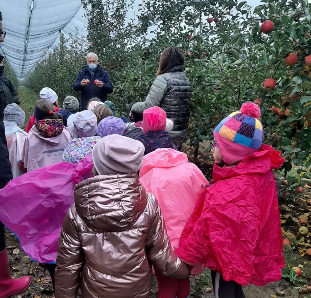 Pink Lady Days frutteto Minguzzi