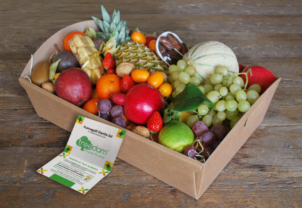 Le box natalizie di Fumagalli Danilo legate al progetto di sostenibilità Treedom