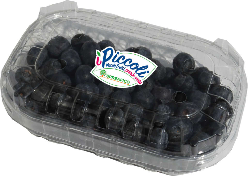 La linea iPiccoli, mirtillo