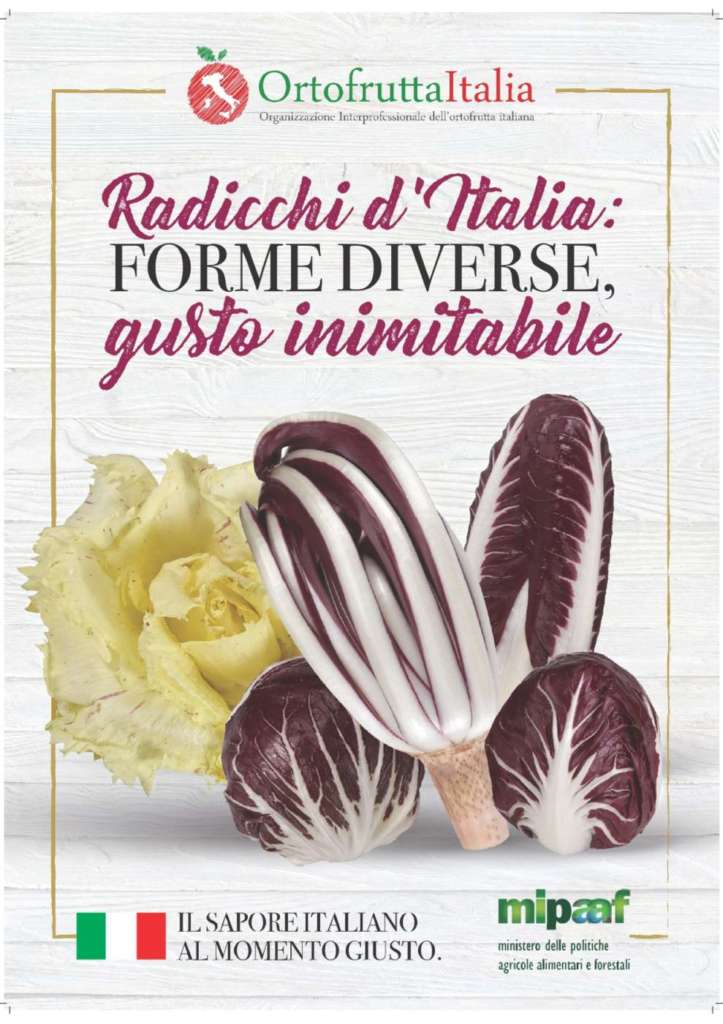 Poster informativo radicchi d'Italia