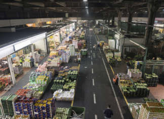 Ortomercato di Milano: un incendio danneggia 2.500 mq Mercato ortofrutticolo Milano