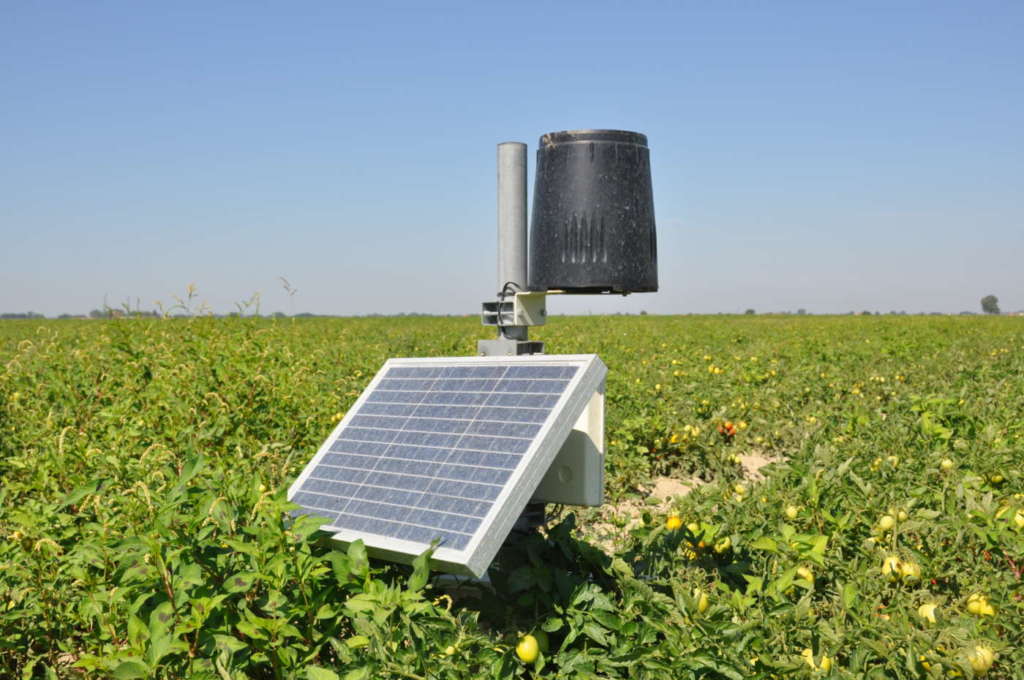 Centralina di monitoraggio del pomodoro Terremerse