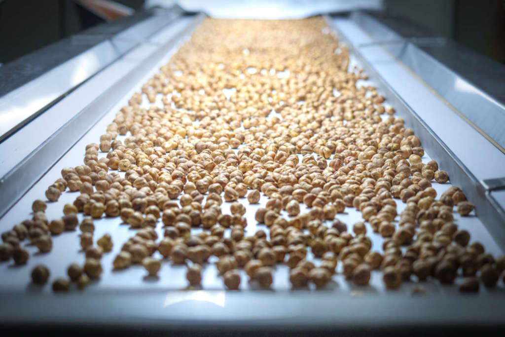 Le nocciole Igp analizzate dalla selezionatrice Tomra 5 BSI+