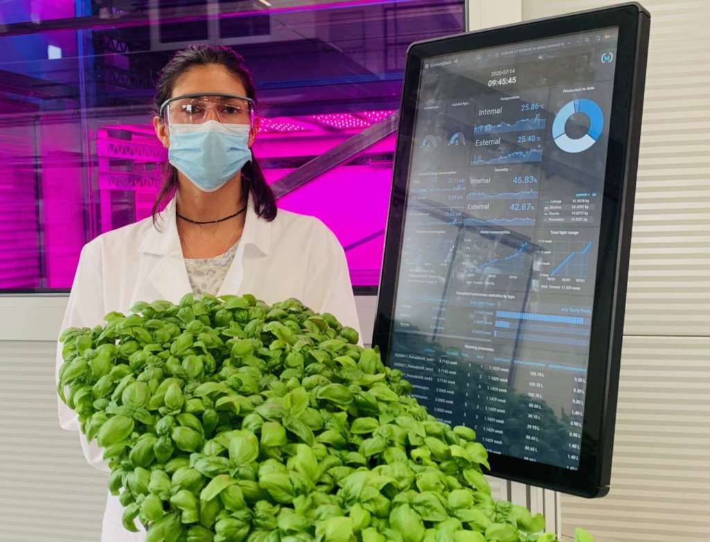 Ono Exponential Farming produce soprattutto insalate ed erbe aromatiche da vertical farming