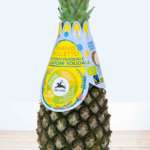 Ananas Dolcetto Alce Nero, limited edition pasquale