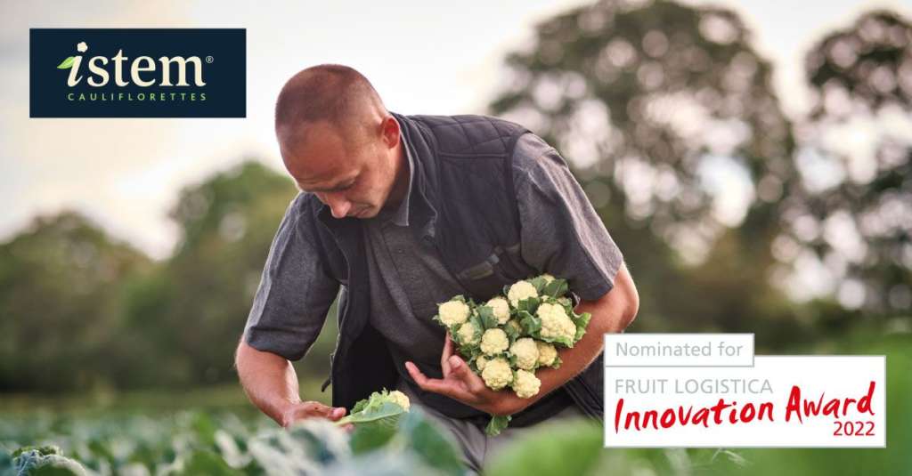La nuova varietà di cavolfiore Istem di Syngenta