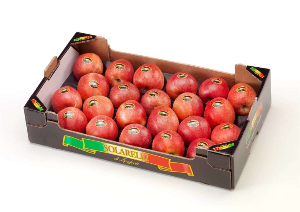 Mela Gala Solarelli Apofruit