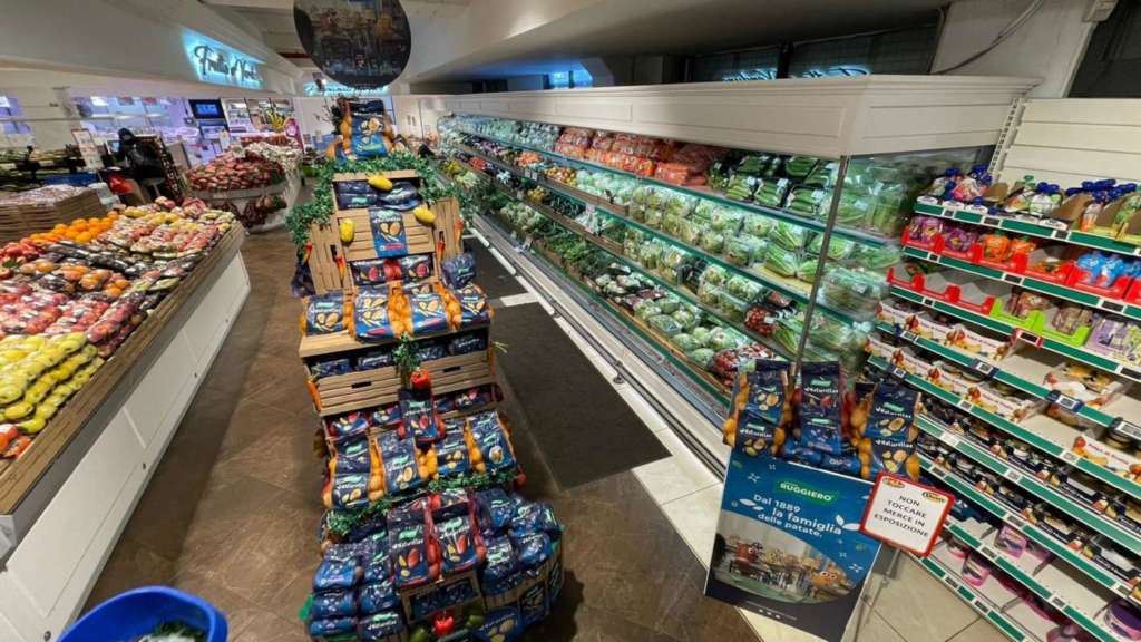 ruggiero category dem patate