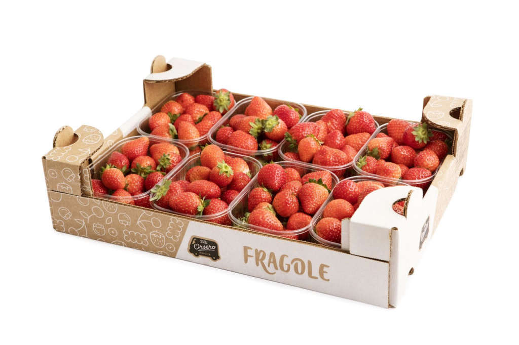 Fragole prima gamma Flli Orsero